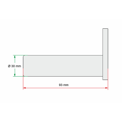 05113LG Svornjak 30x93 mm za utovarne platforme AMA